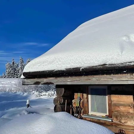 Au Bord D'un Etang Prive, Massif Du Sancy Chalet Picherande