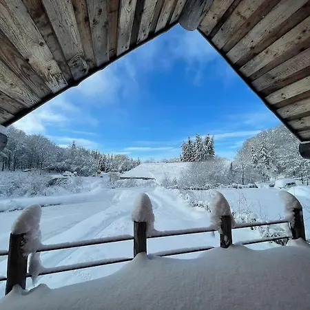 Chalet Au Bord D'un Etang Prive, Massif Du Sancy