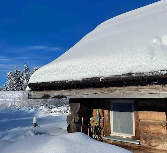 Au Bord D'un Etang Prive, Massif Du Sancy Chalet Picherande
