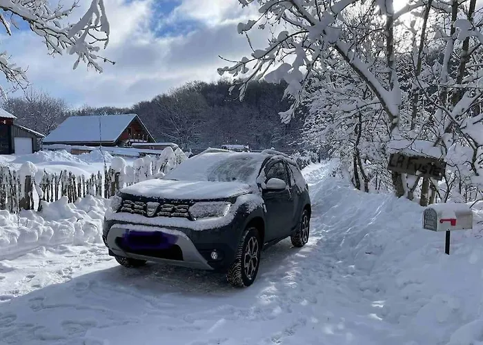 Au Bord D'un Etang Prive, Massif Du Sancy