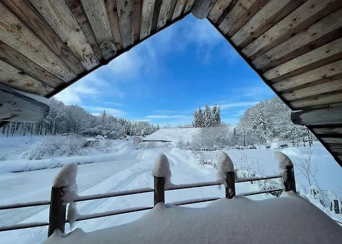 Chalet Au Bord D'un Etang Prive, Massif Du Sancy